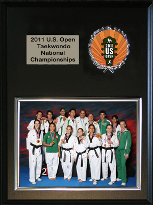 Taekwondo TeamPlaque